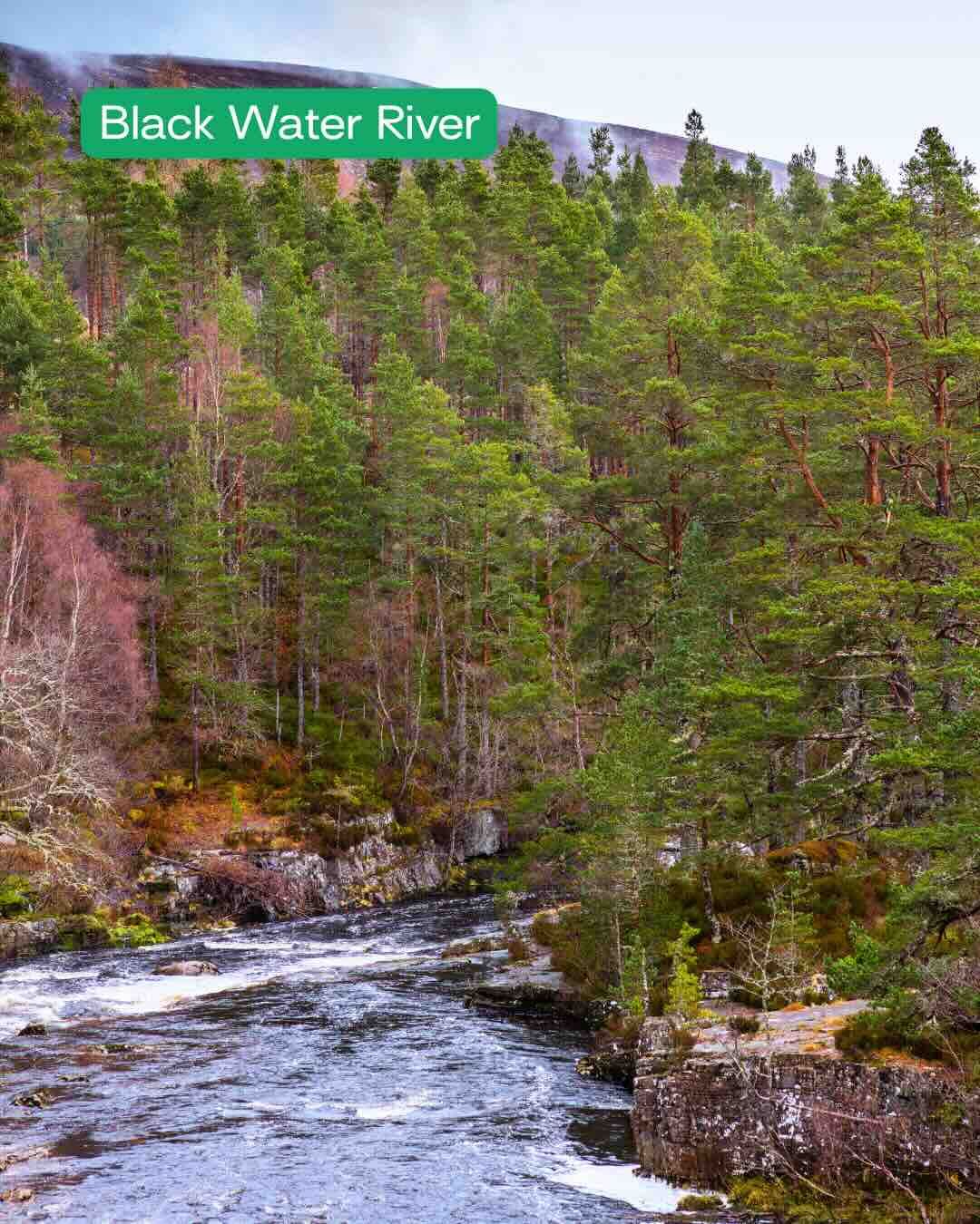 Black Water River - MicheleVacchiano.jpg