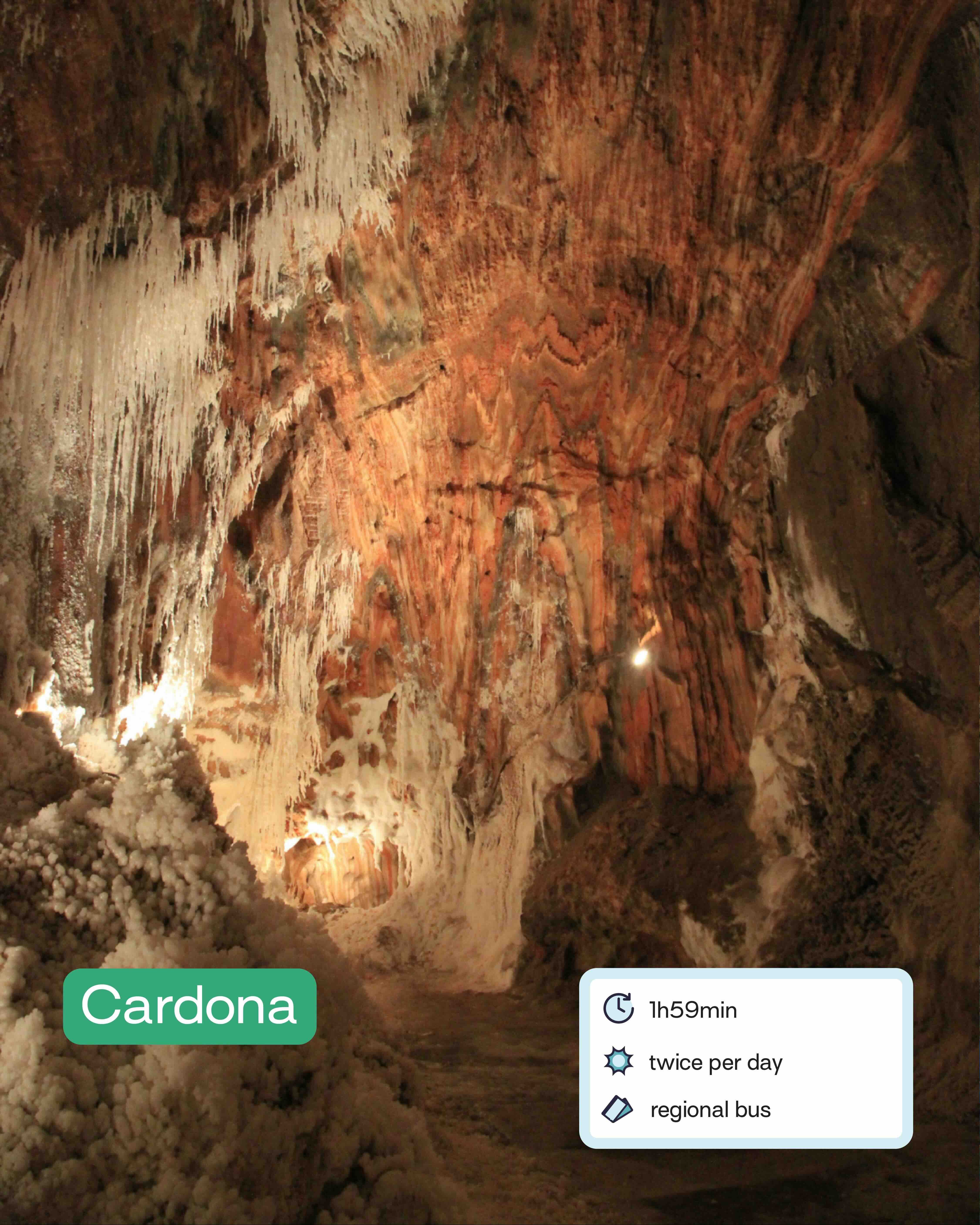 Cardona - Tomasz Dutkiewicz.jpg