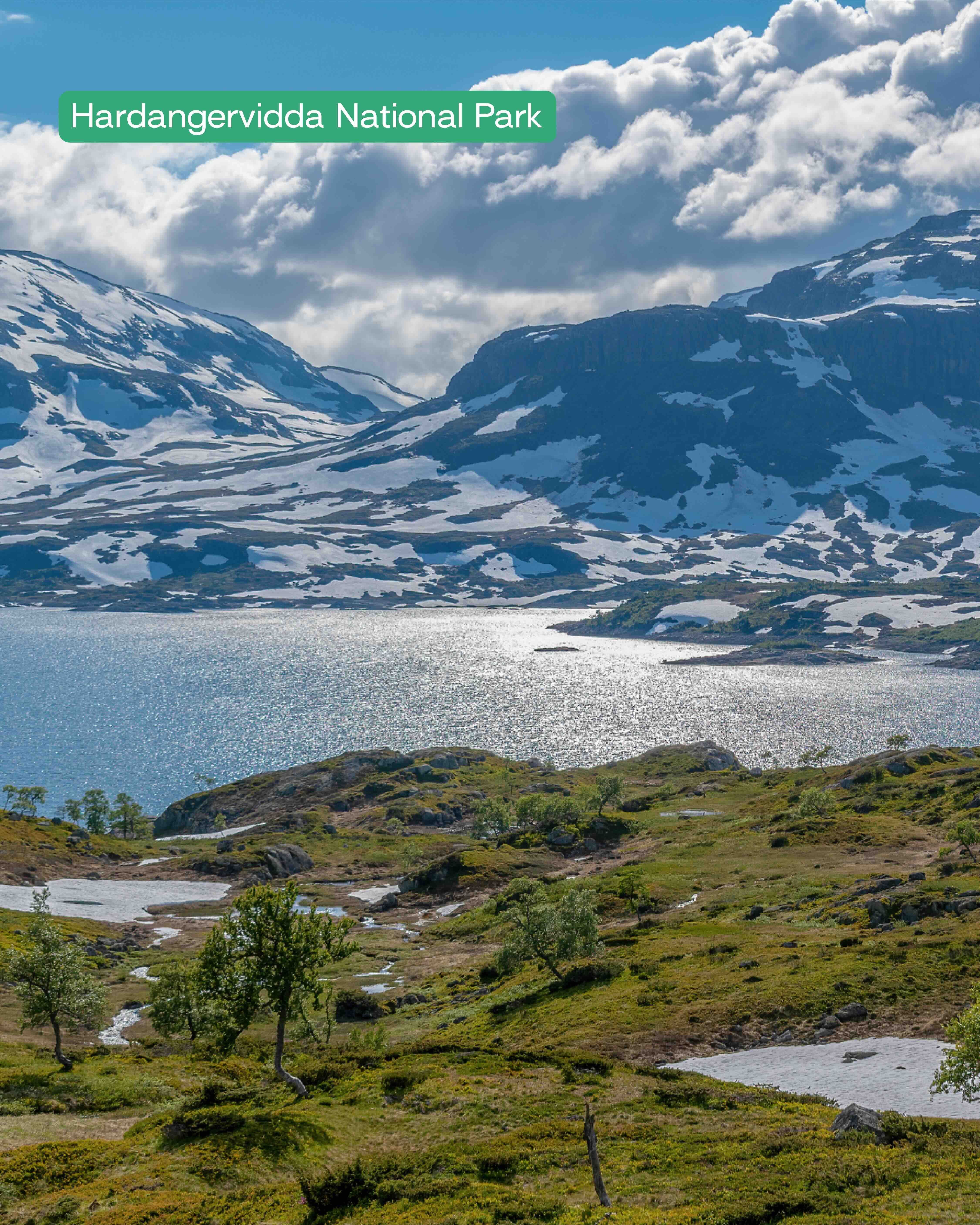 Hardangervidda - Caroline Brundle Bugge.jpg