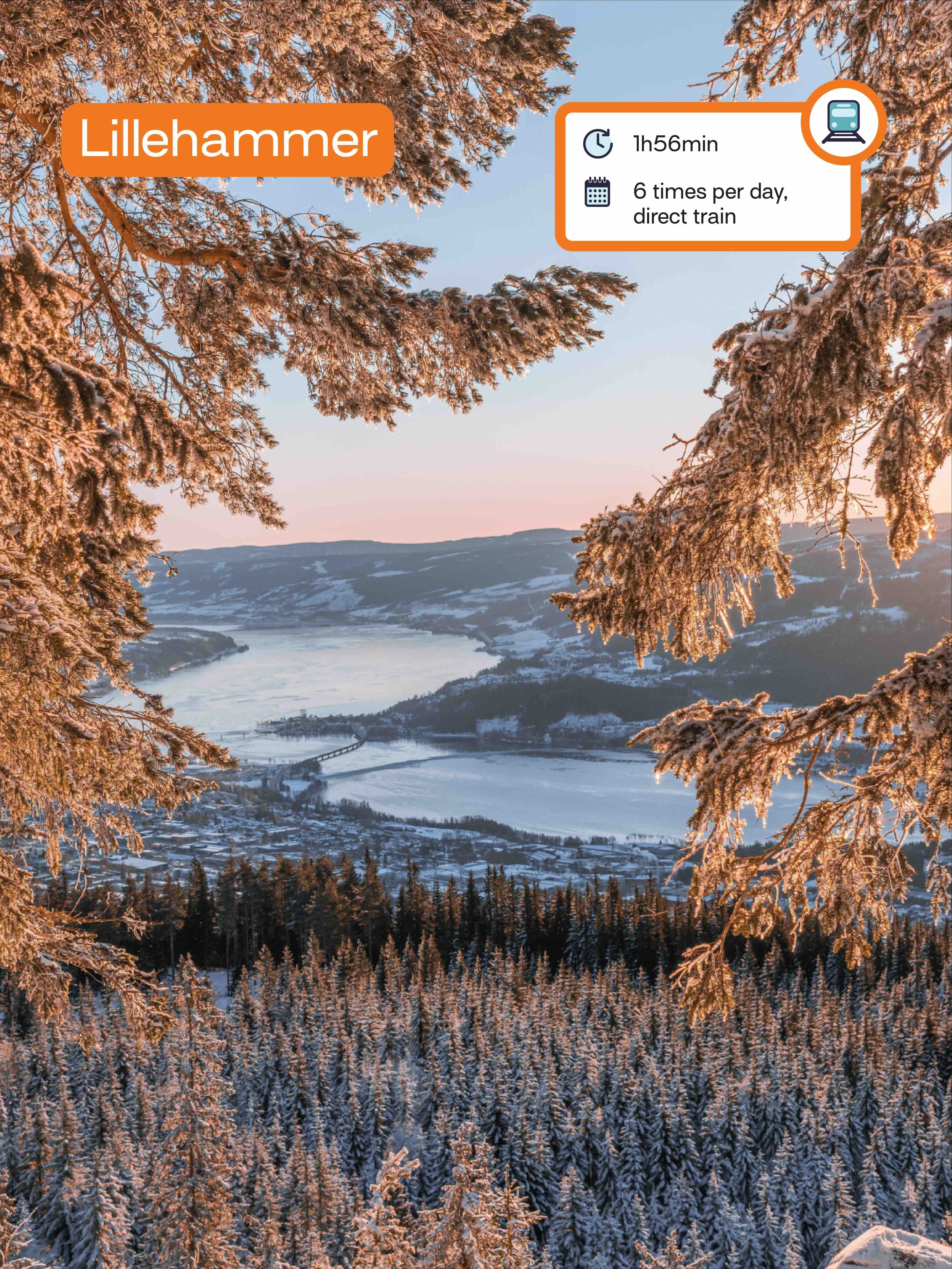 Lillehammer - Wirestock.jpg